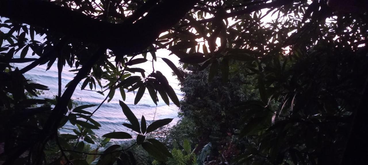 Treehouse Above The Beach Port Antonio Esterno foto