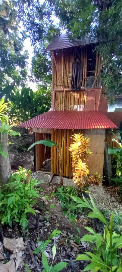 Treehouse Above The Beach Port Antonio Esterno foto
