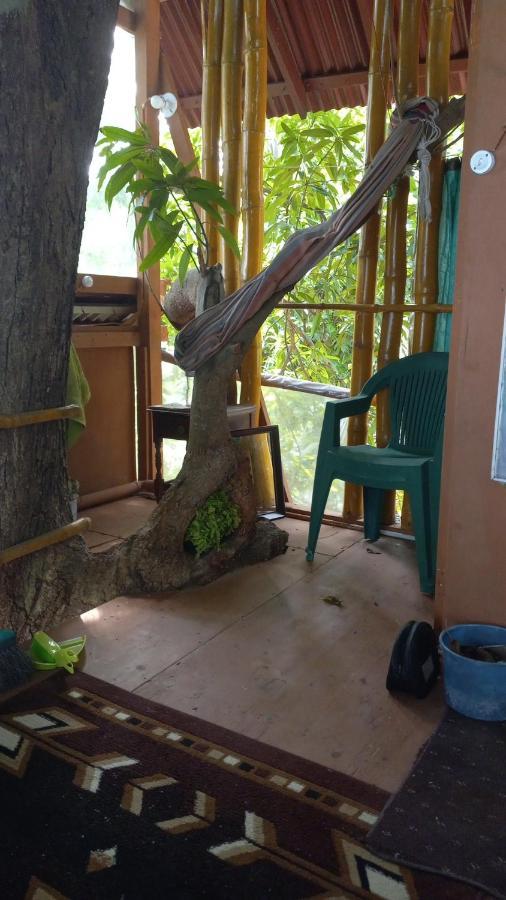 Treehouse Above The Beach Port Antonio Esterno foto