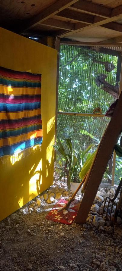 Treehouse Above The Beach Port Antonio Esterno foto