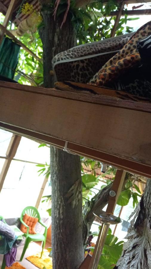 Treehouse Above The Beach Port Antonio Esterno foto