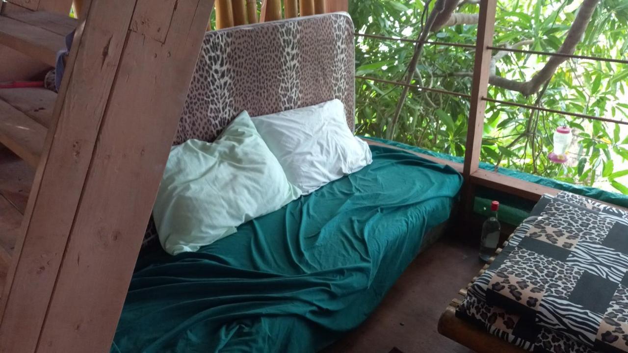 Treehouse Above The Beach Port Antonio Esterno foto