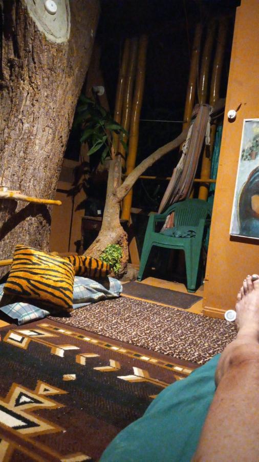 Treehouse Above The Beach Port Antonio Esterno foto