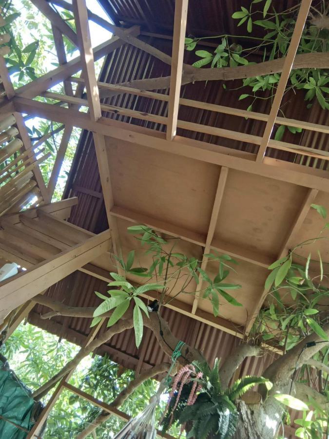 Treehouse Above The Beach Port Antonio Esterno foto
