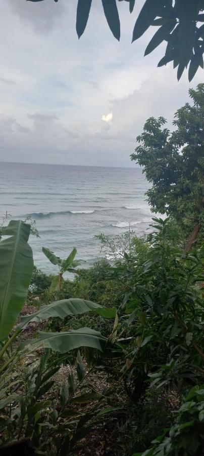 Treehouse Above The Beach Port Antonio Esterno foto