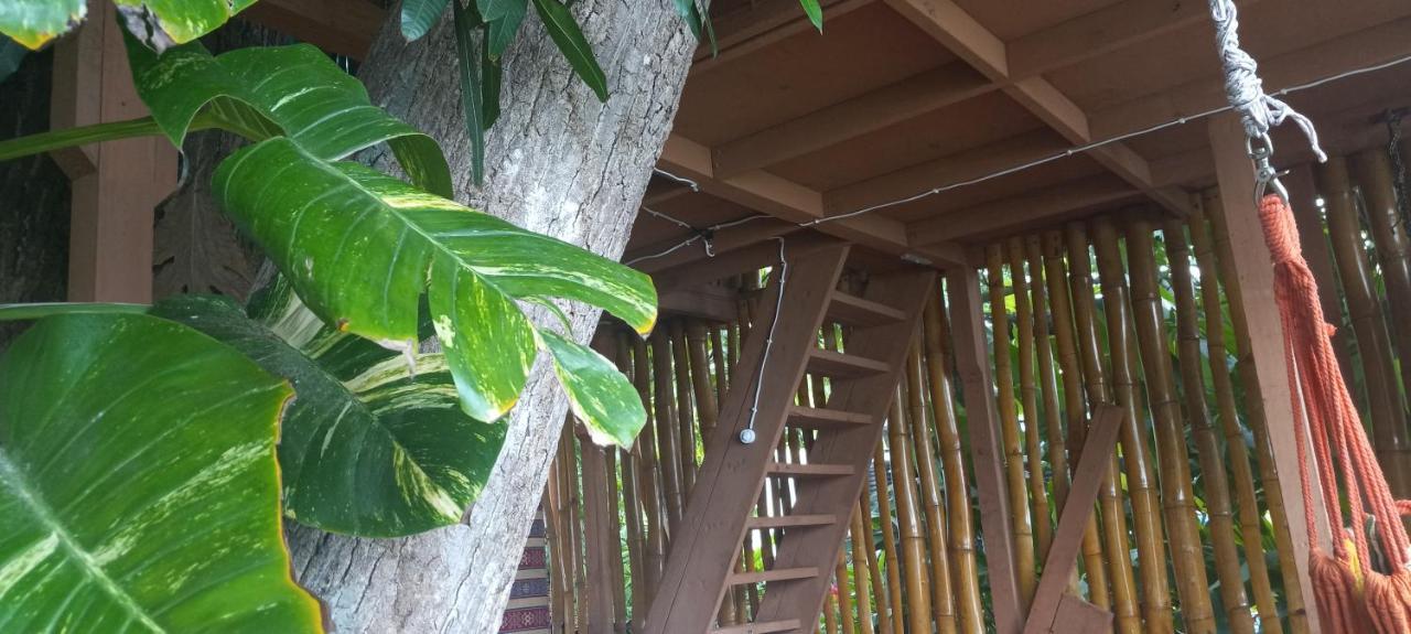 Treehouse Above The Beach Port Antonio Esterno foto