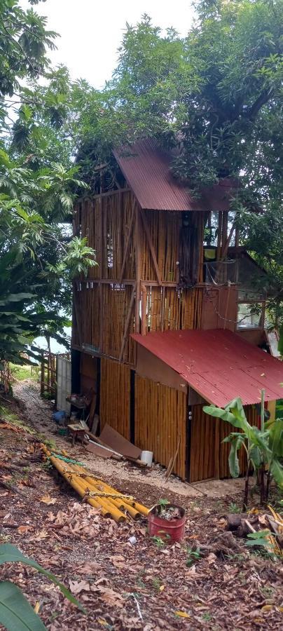 Treehouse Above The Beach Port Antonio Esterno foto