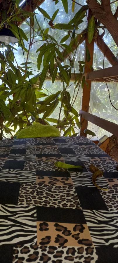 Treehouse Above The Beach Port Antonio Esterno foto