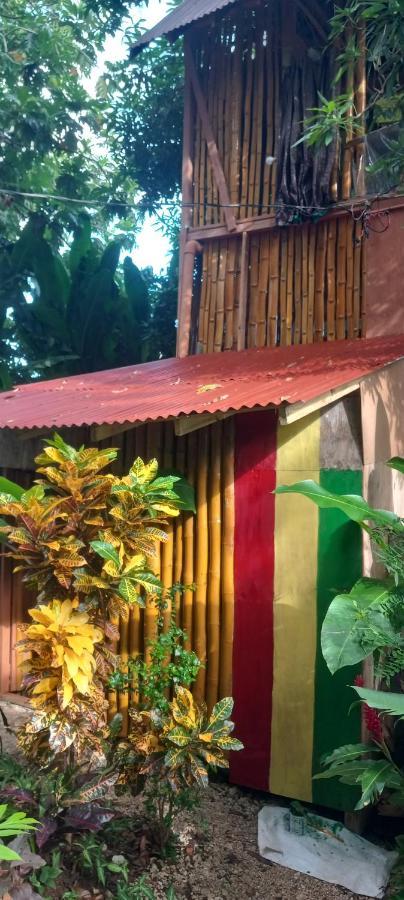 Treehouse Above The Beach Port Antonio Esterno foto