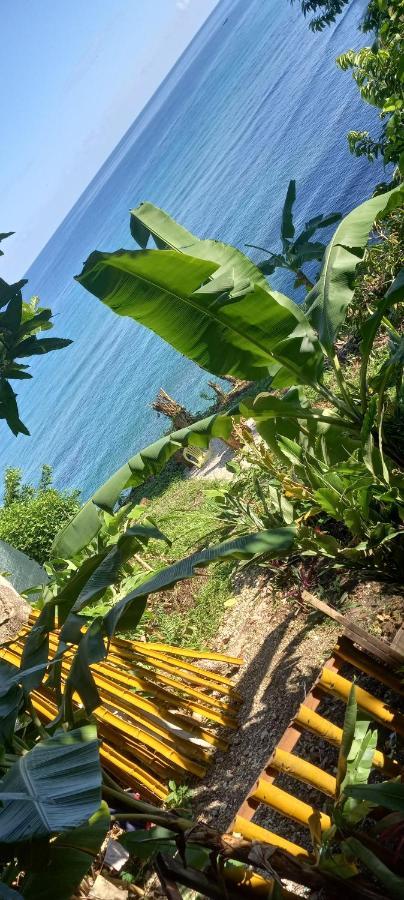 Treehouse Above The Beach Port Antonio Esterno foto