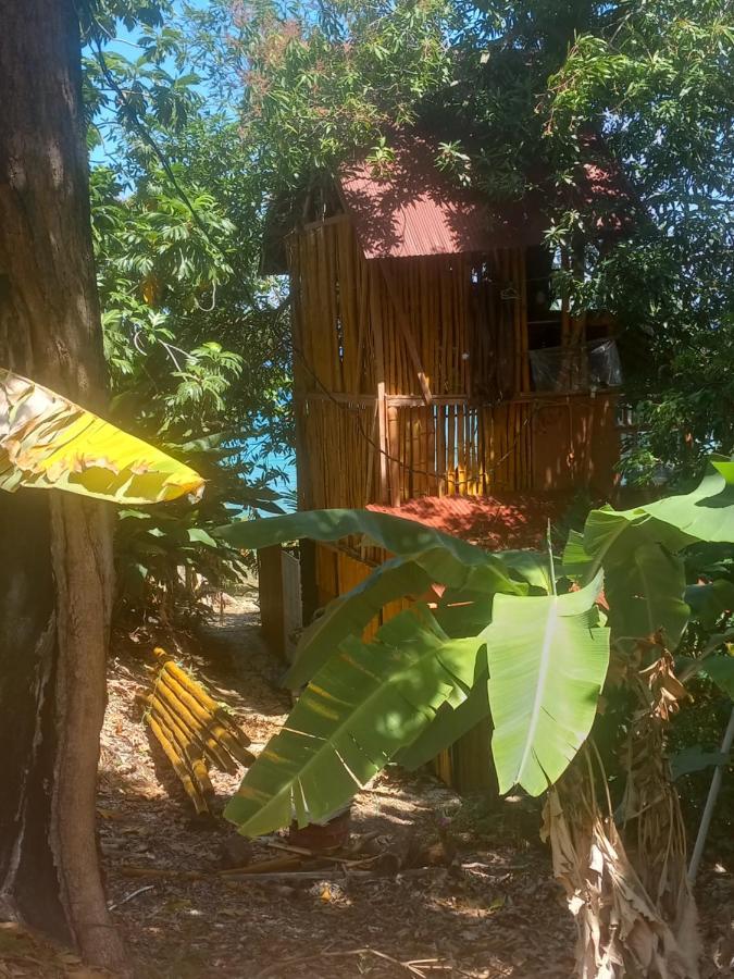 Treehouse Above The Beach Port Antonio Esterno foto