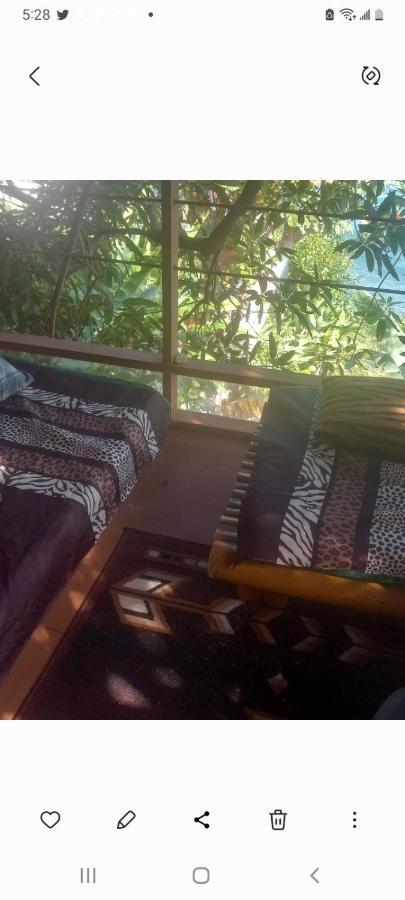 Treehouse Above The Beach Port Antonio Esterno foto