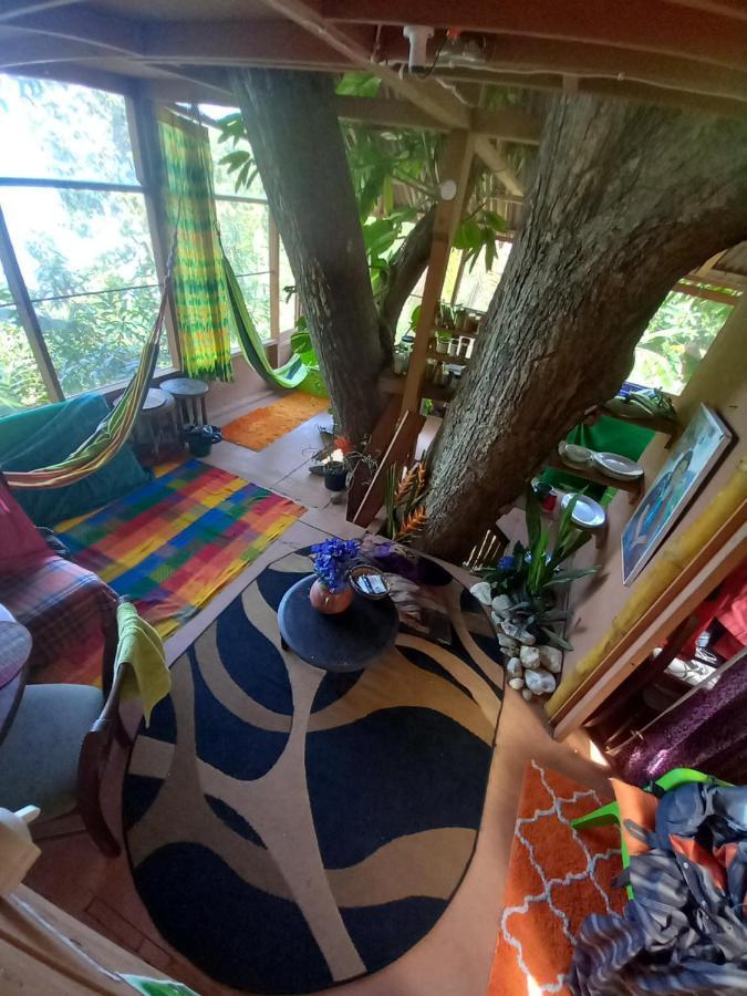 Treehouse Above The Beach Port Antonio Esterno foto