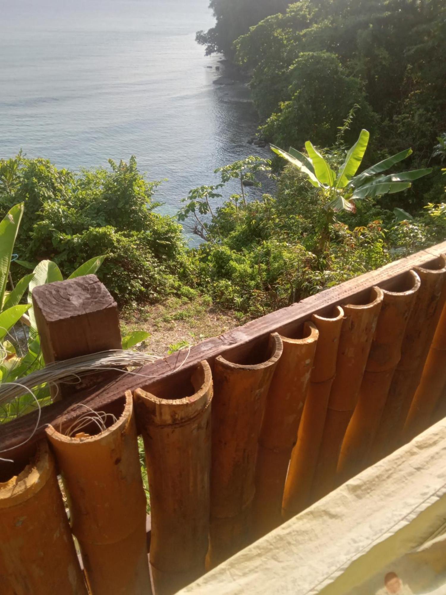 Treehouse Above The Beach Port Antonio Esterno foto