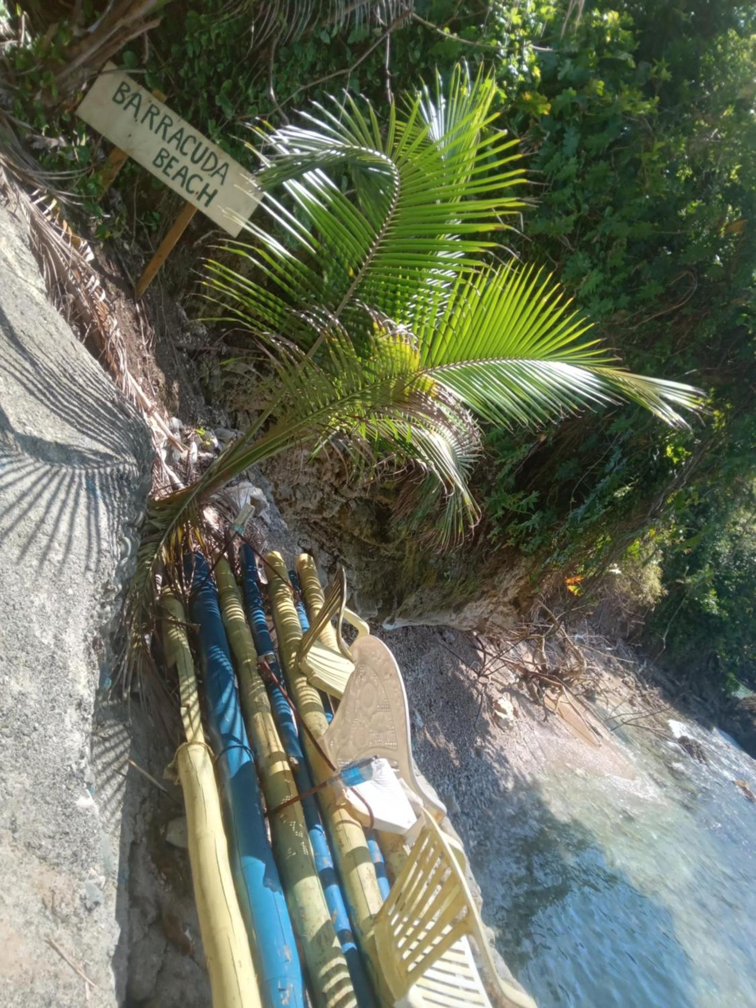 Treehouse Above The Beach Port Antonio Esterno foto